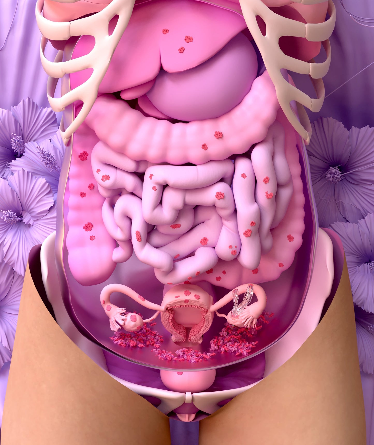 Wasabi Method - Female Sexual Health Course (Practitioner Module)