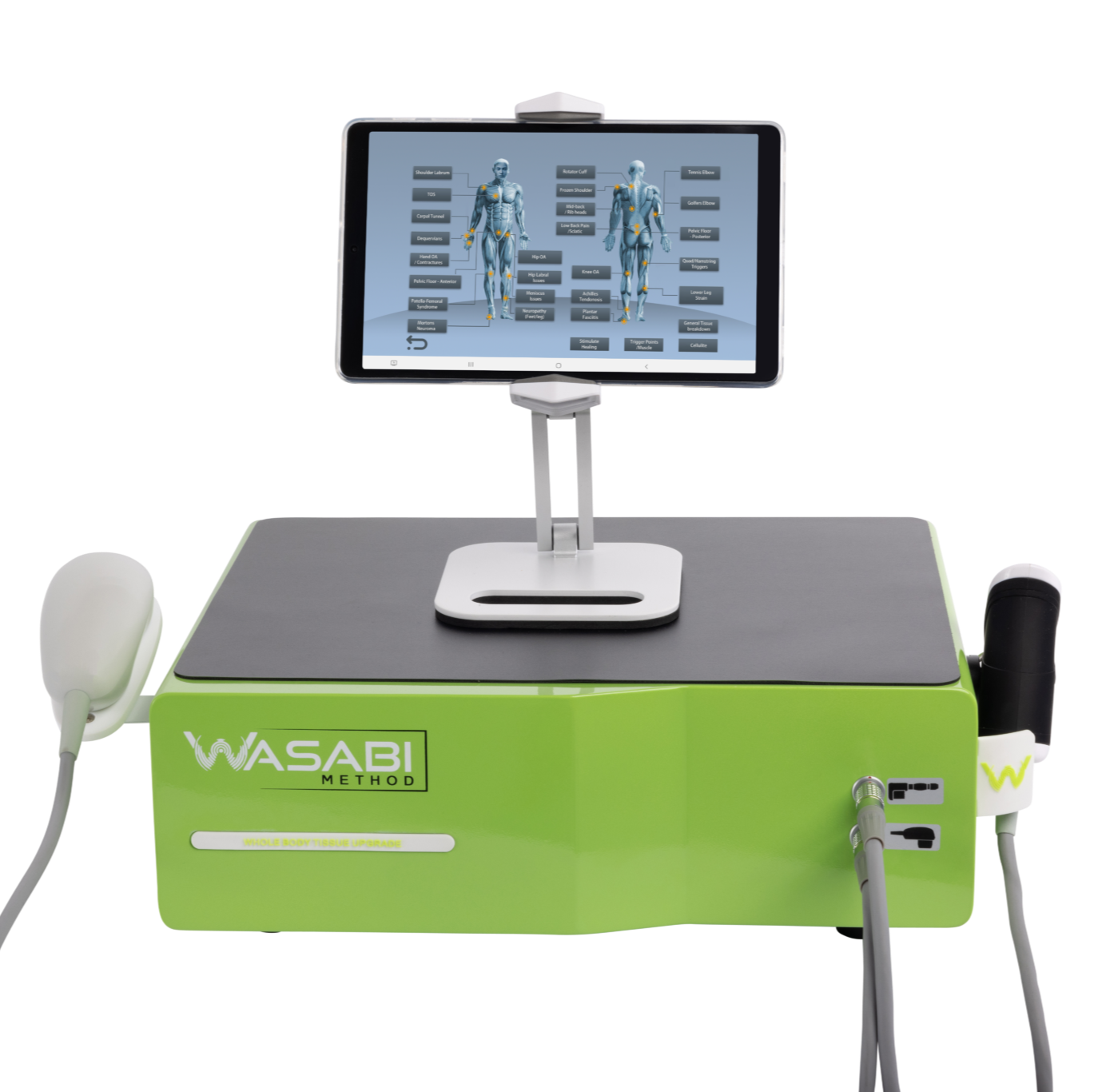 Wasabi Device & Course Bundle