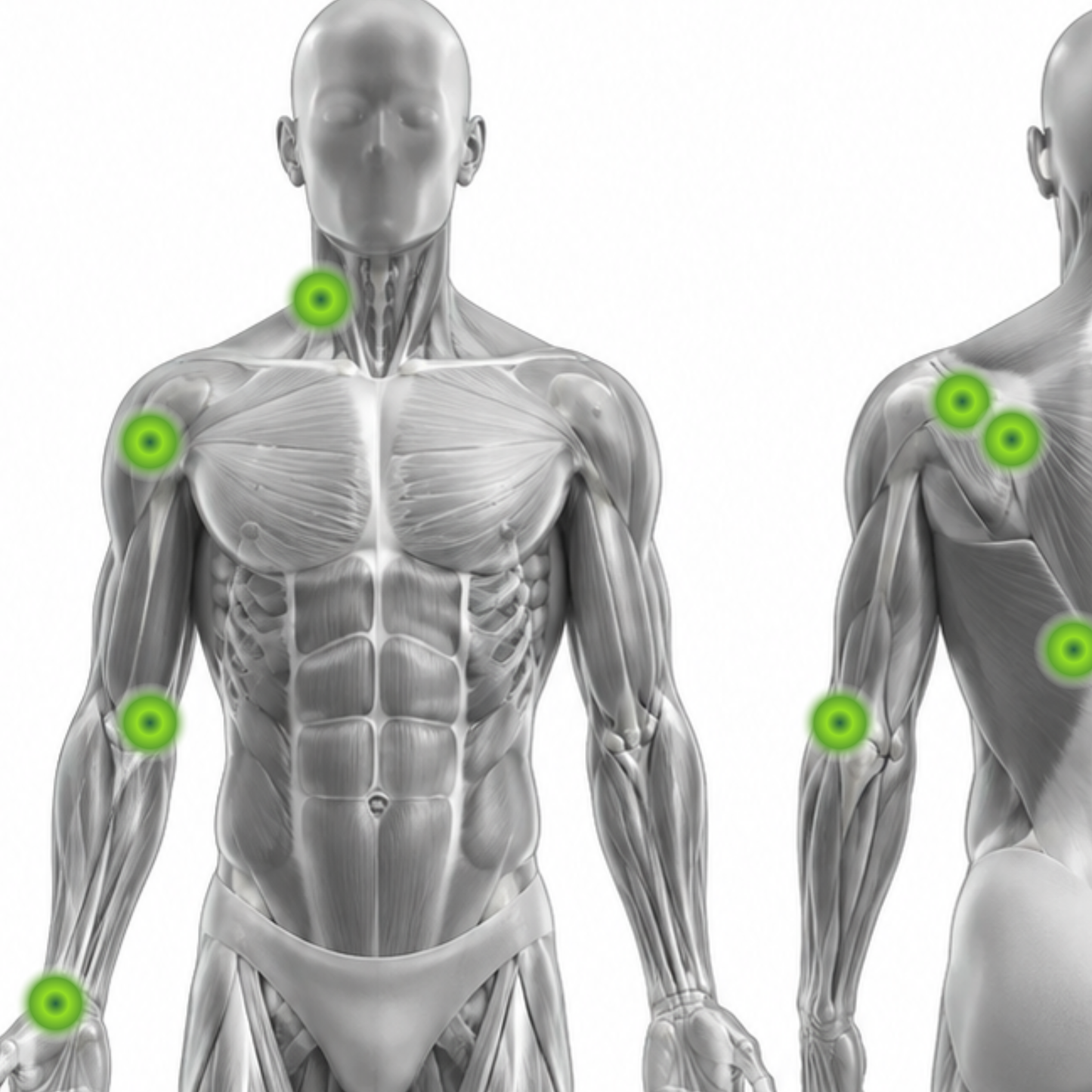 Upper Body Radial Pressure Wave Therapy Course