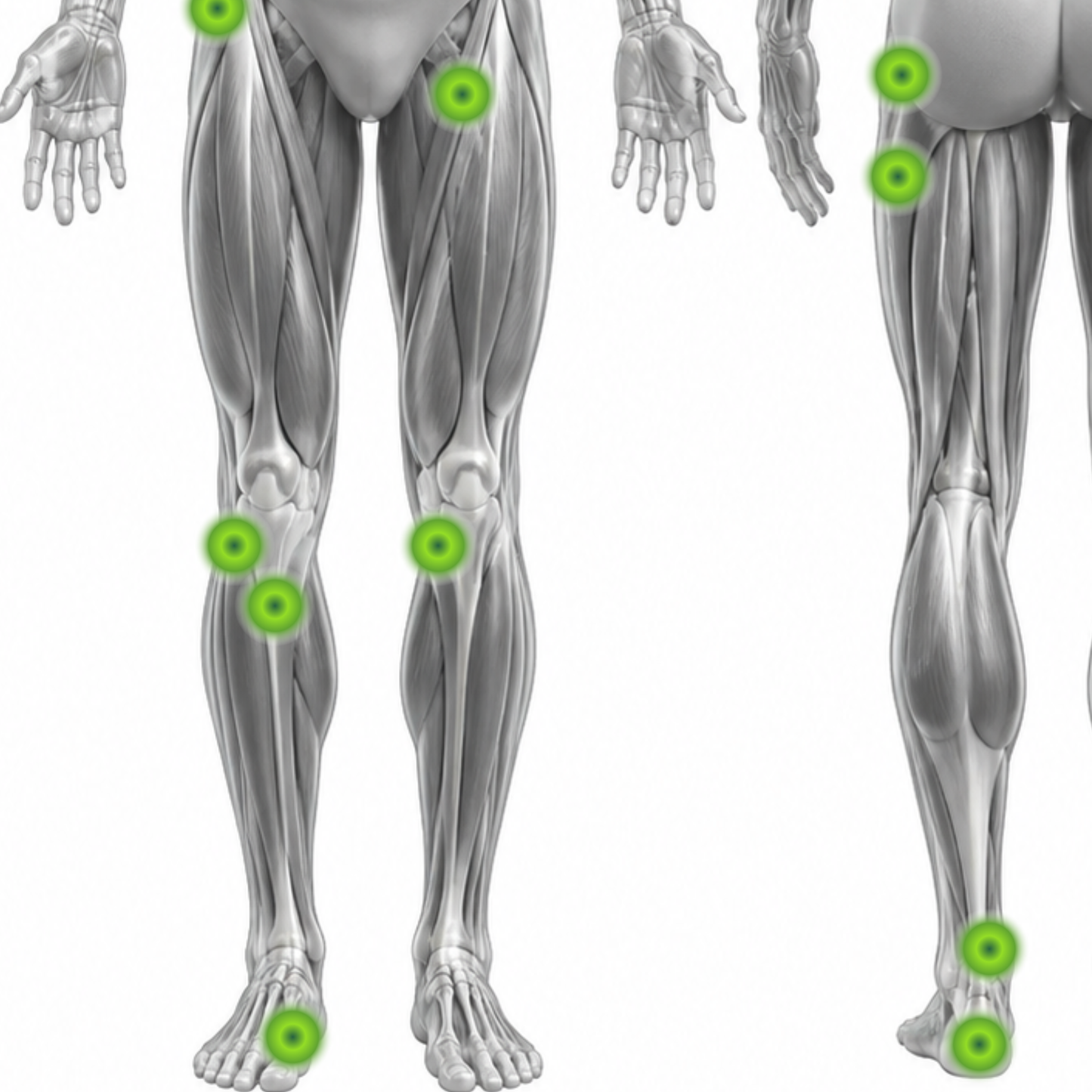 Lower Limb Radial Pressure Wave Therapy Course